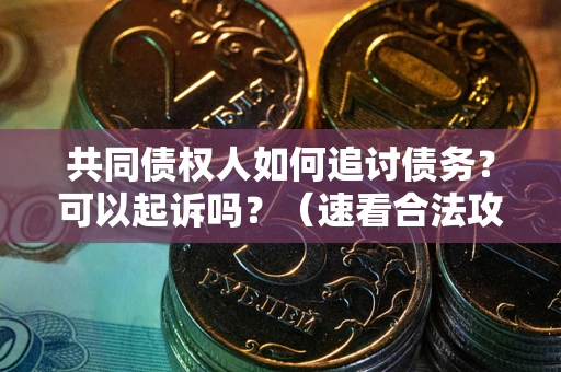 济南共同债权人如何追讨债务？可以起诉吗？（速看合法攻略）