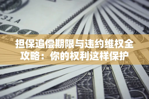 济南担保追偿期限与违约维权全攻略：你的权利这样保护